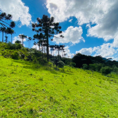 Terreno a Venda - Urubici - Serra Catarinense - Crioulas