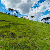 Terreno a Venda - Urubici - Serra Catarinense - Crioulas