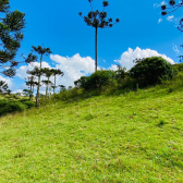 Terreno a Venda - Urubici - Serra Catarinense - Crioulas