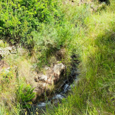 Terreno a Venda - Urubici - Serra Catarinense - Crioulas