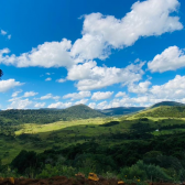 Terreno a Venda - Urubici - Serra Catarinense - Excelente Localizao