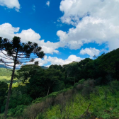 Terreno a Venda - Urubici - Serra Catarinense - Excelente Localizao