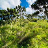 Terreno a Venda - Urubici - Serra Catarinense - Excelente Localizao