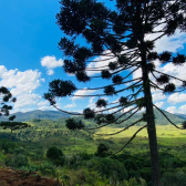 Terreno a Venda - Urubici - Serra Catarinense - Excelente Localizao