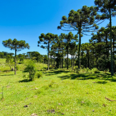 Terreno a Venda - Urubici - Serra Catarinense - Por do Sol