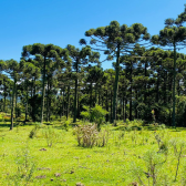 Terreno a Venda - Urubici - Serra Catarinense - Por do Sol