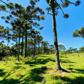 Terreno a Venda - Urubici - Serra Catarinense - Por do Sol