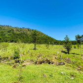 Terreno a Venda - Urubici - Serra Catarinense - Por do Sol