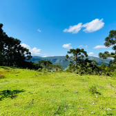 Terreno a Venda - Urubici - Serra Catarinense - So Pedro