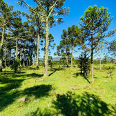 Terreno a Venda - Urubici - Serra Catarinense - So Pedro