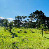 Terreno a Venda - Urubici - Serra Catarinense - So Pedro