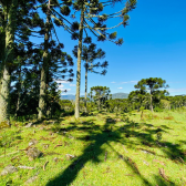 Terreno a Venda - Urubici - Serra Catarinense - So Pedro