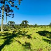 Terreno a Venda - Urubici - Serra Catarinense - So Pedro