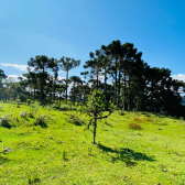 Terreno a Venda - Urubici - Serra Catarinense - So Pedro