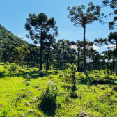 Terreno a Venda - Urubici - Serra Catarinense - So Pedro