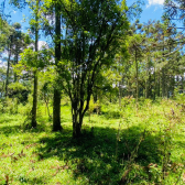 Terreno a Venda - Urubici - Serra Catarinense - So Pedro