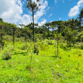 Terreno a Venda - Urubici - Serra Catarinense - So Pedro