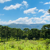 Terreno a Venda - Urubici - Serra Catarinense - Vista das Montanhas 