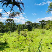 Terreno a Venda - Urubici - Serra Catarinense - Vista das Montanhas 