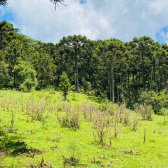 Terreno a Venda - Urubici - Serra Catarinense - Vista das Montanhas 