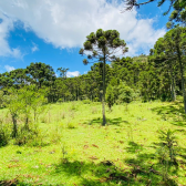 Terreno a Venda - Urubici - Serra Catarinense - Vista das Montanhas 