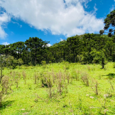 Terreno a Venda - Urubici - Serra Catarinense - Vista das Montanhas 