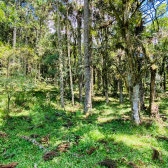 Terreno a Venda - Urubici - Serra Catarinense - Vista das Montanhas 