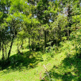 Terreno a Venda - Urubici - Serra Catarinense - Vista das Montanhas 