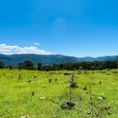 Terreno a Venda - Urubici - Serra Catarinense - Vista das Montanhas 