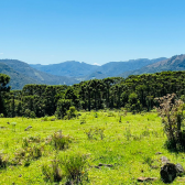 Terreno a Venda - Urubici - Serra Catarinense - Vista das Montanhas 