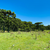 Terreno a Venda - Urubici - Serra Catarinense - Vista das Montanhas 