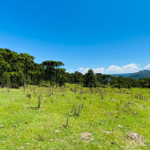 Terreno a Venda - Urubici - Serra Catarinense - Vista das Montanhas 