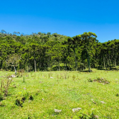 Terreno a Venda - Urubici - Serra Catarinense - Vista das Montanhas 