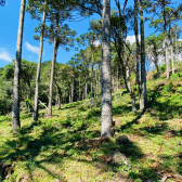 Terreno a Venda - Urubici - Serra Catarinense - Vista das Montanhas 