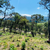 Terreno a Venda - Urubici - Serra Catarinense - Vista das Montanhas 