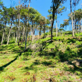 Terreno a Venda - Urubici - Serra Catarinense - Vista das Montanhas 