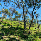 Terreno a Venda - Urubici - Serra Catarinense - Vista das Montanhas 