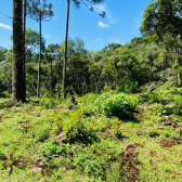 Terreno a Venda - Urubici - Serra Catarinense - Vista das Montanhas 