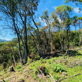 Terreno a Venda - Urubici - Serra Catarinense - Vista das Montanhas 