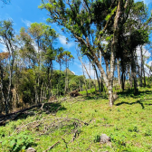 Terreno a Venda - Urubici - Serra Catarinense - Vista das Montanhas 