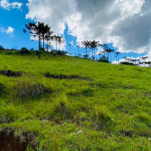 Terreno a Venda - Urubici - Serra Catarinense - Vista das Montanhas 