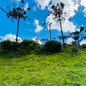 Terreno a Venda - Urubici - Serra Catarinense - Vista das Montanhas 