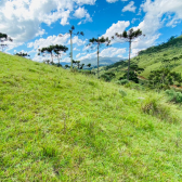 Terreno a Venda - Urubici - Serra Catarinense - Vista das Montanhas 