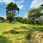 Terreno a Venda - Vista das Montanhas - Excelente Localizao