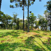 Terreno a Venda - Vista das Montanhas - Excelente Localizao