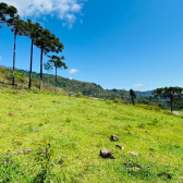 Terreno a Venda - Vista das Montanhas - Excelente Localizao