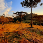 Terreno a Venda - Vista das Montanhas - Urubici - Boa Localizao 