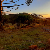 Terreno a Venda - Vista das Montanhas - Urubici - Boa Localizao 