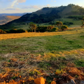 Terreno a Venda - Vista das Montanhas - Urubici - Boa Localizao 