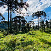 Terreno a Venda - Vista para as Montanhas - Serra Catarinense